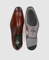 Liam PD - Brown