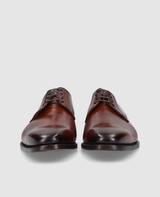 Liam PD - Brown