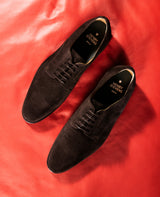 Marshall PD - Dark brown