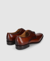 Liam PD - Brown